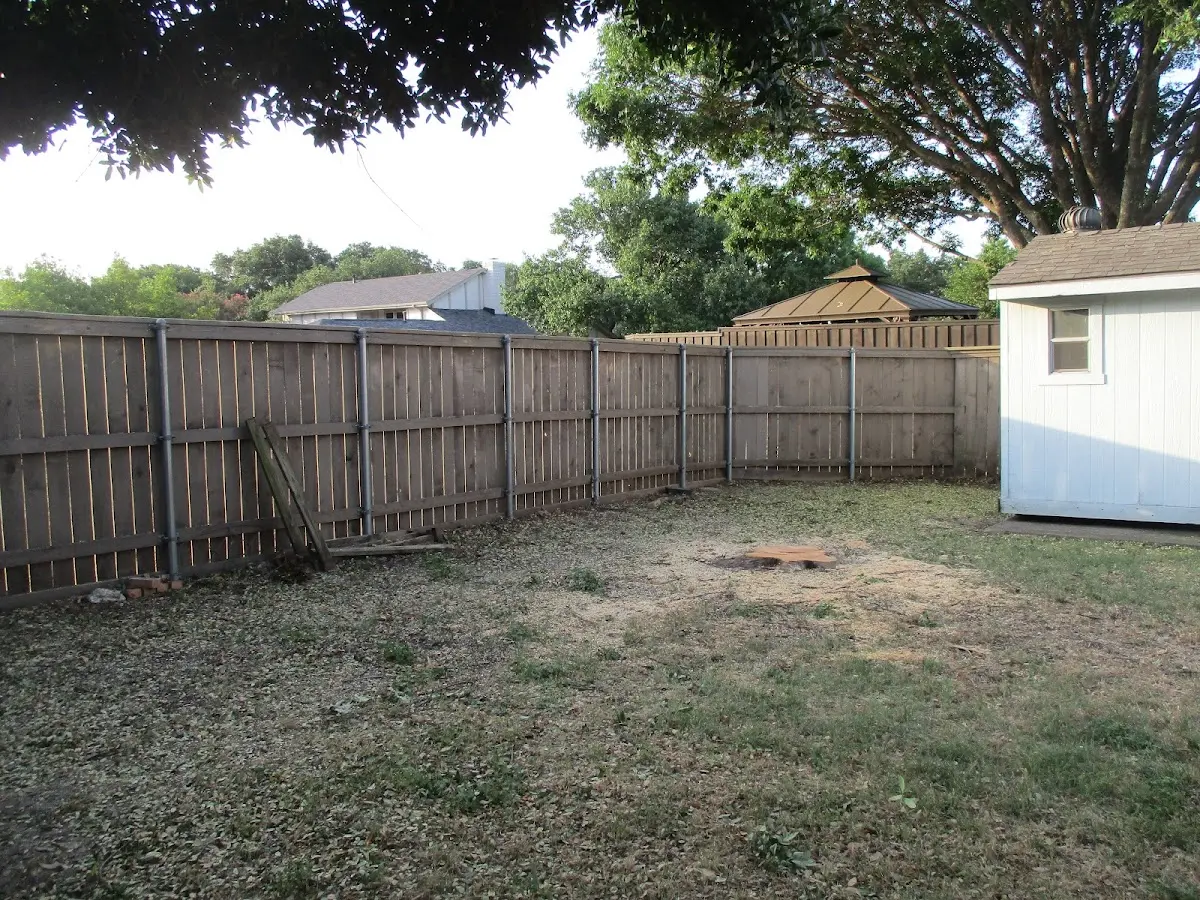 Cleared yard after professional tree removal in Frenchtown