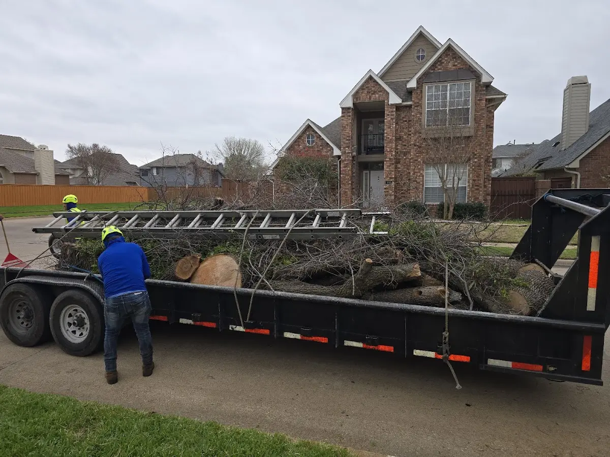 Expert Tree Fertilization with proper safety equipment in Frenchtown